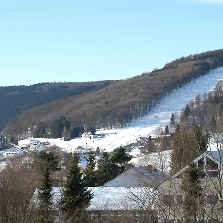 Hochsauerland 2010 Willingen (Upland)